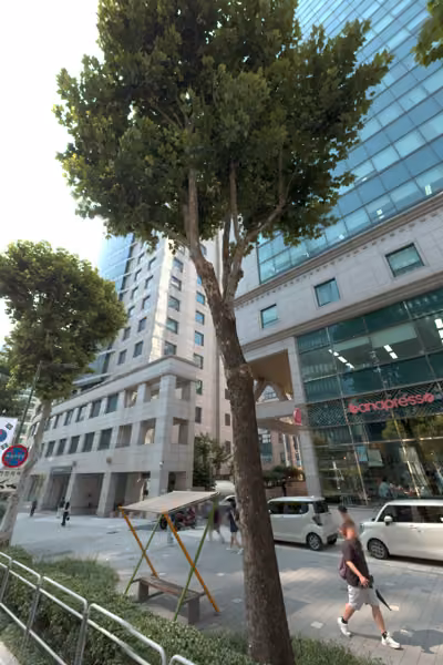 tree photo