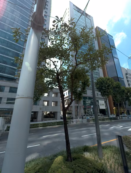 tree photo