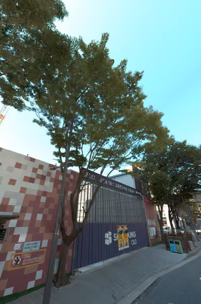 tree photo