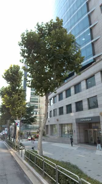 tree photo
