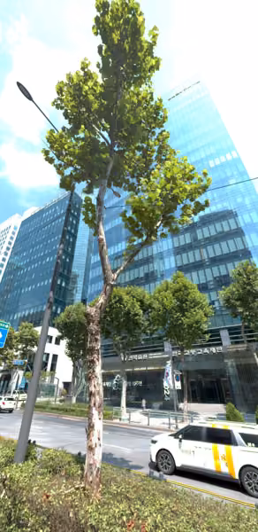 tree photo