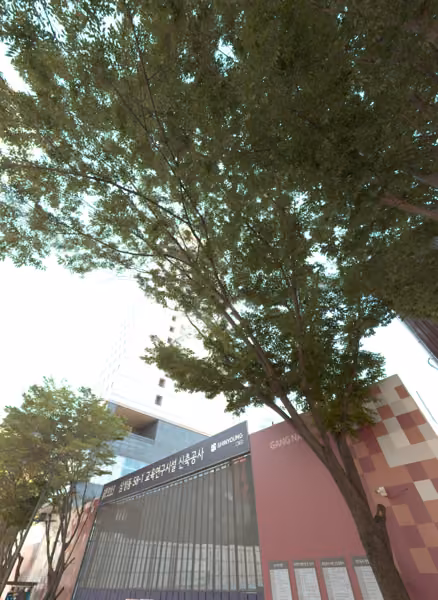 tree photo