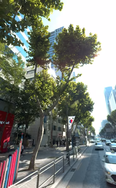 tree photo