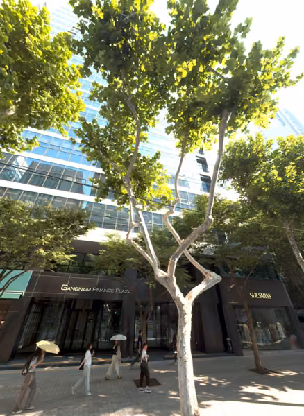 tree photo