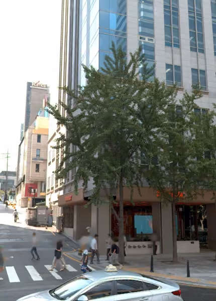 tree photo