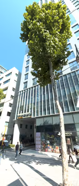 tree photo
