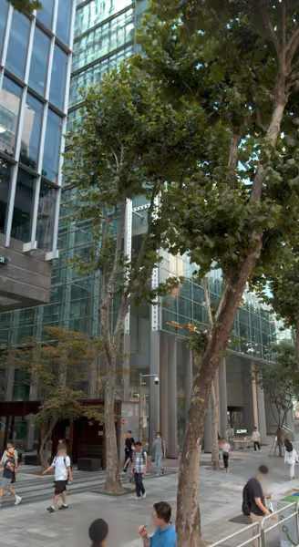 tree photo