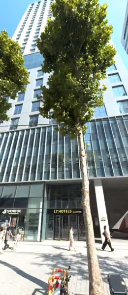 tree photo