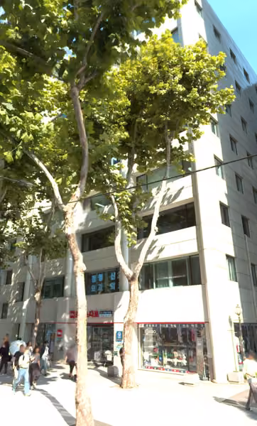 tree photo