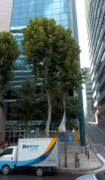 tree photo