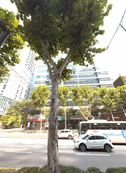 tree photo