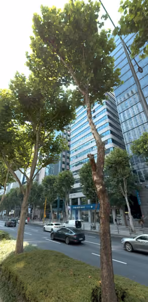 tree photo