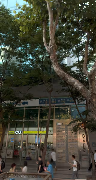 tree photo