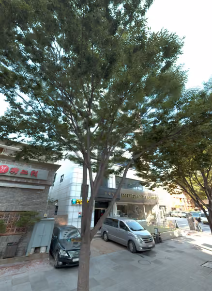 tree photo