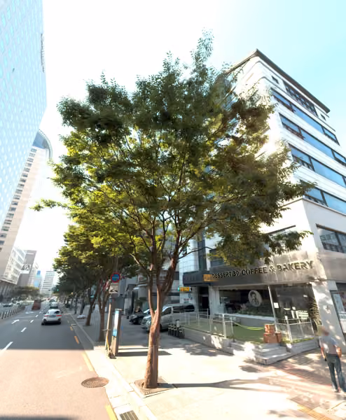 tree photo