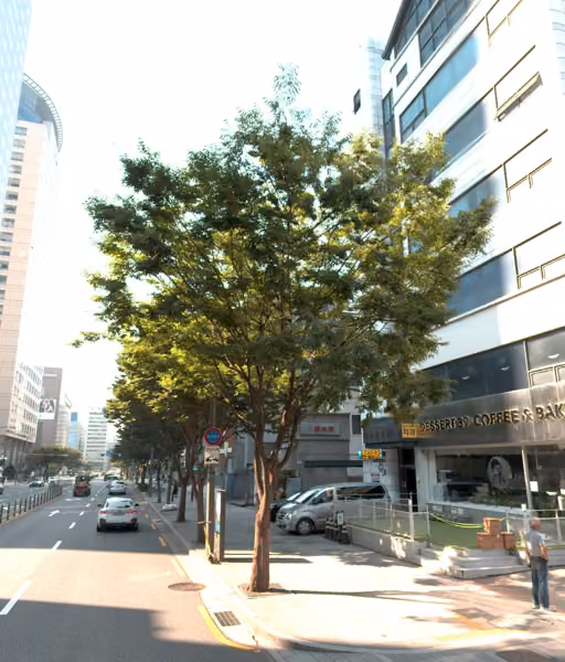 tree photo
