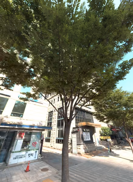 tree photo
