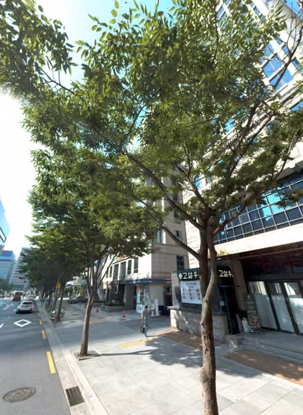 tree photo