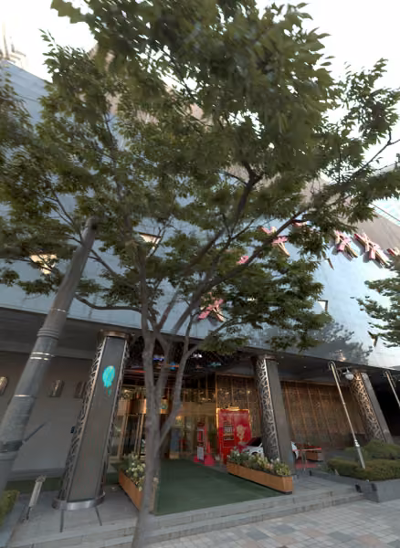 tree photo
