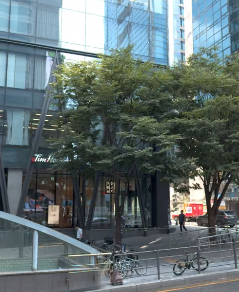 tree photo