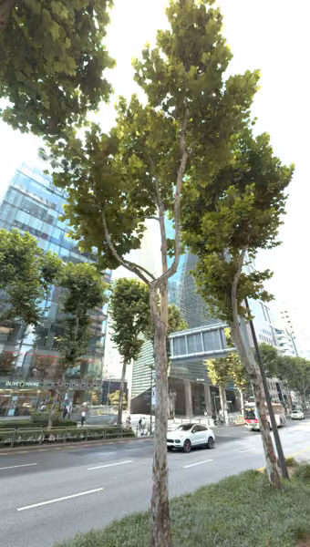 tree photo