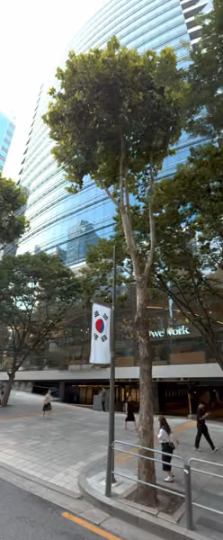 tree photo