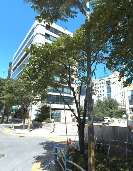 tree photo