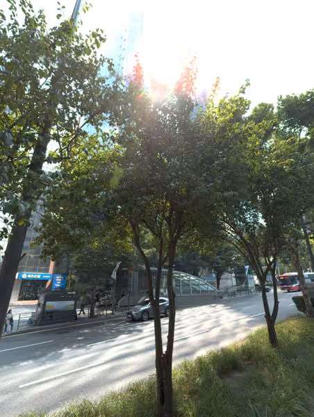 tree photo