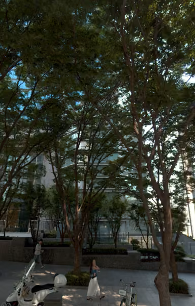 tree photo