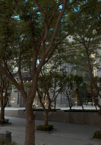 tree photo