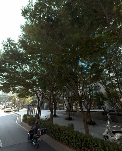 tree photo