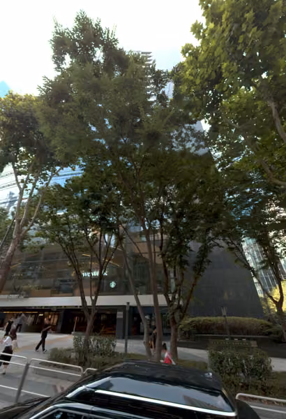tree photo