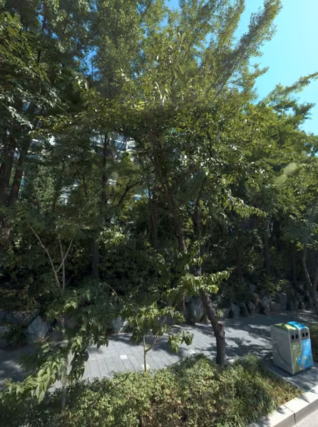 tree photo
