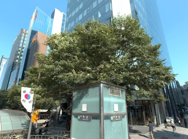 tree photo