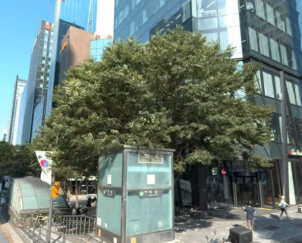 tree photo