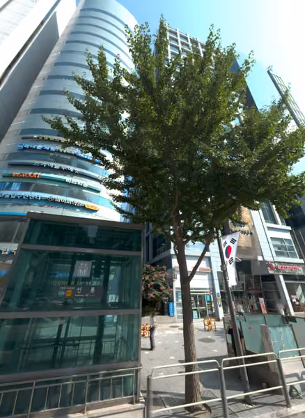 tree photo