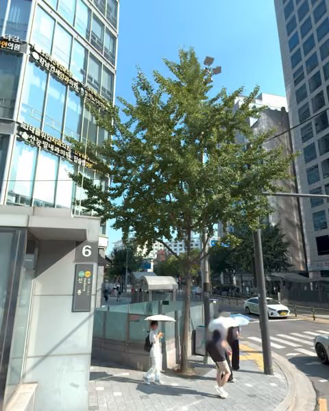 tree photo