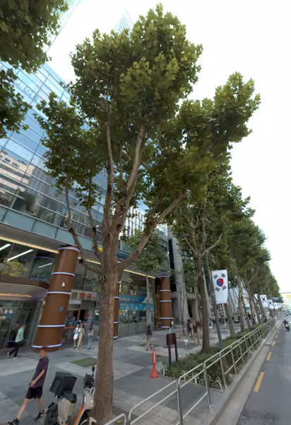tree photo