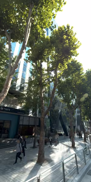 tree photo