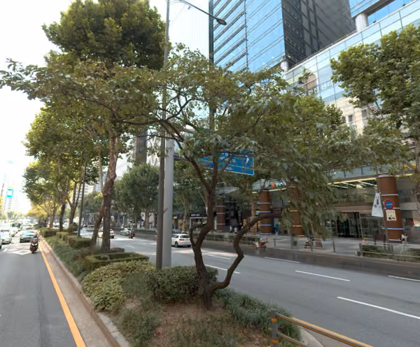 tree photo