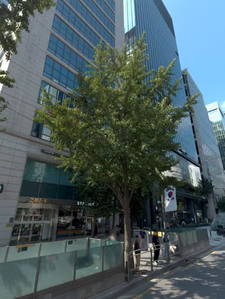 tree photo