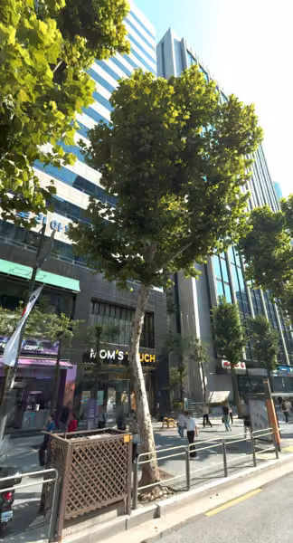 tree photo