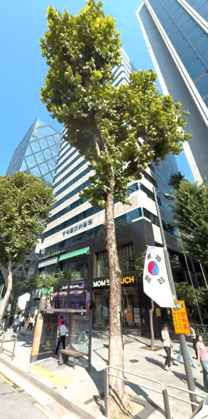 tree photo