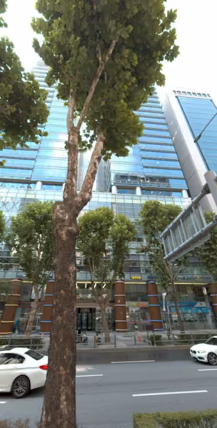 tree photo