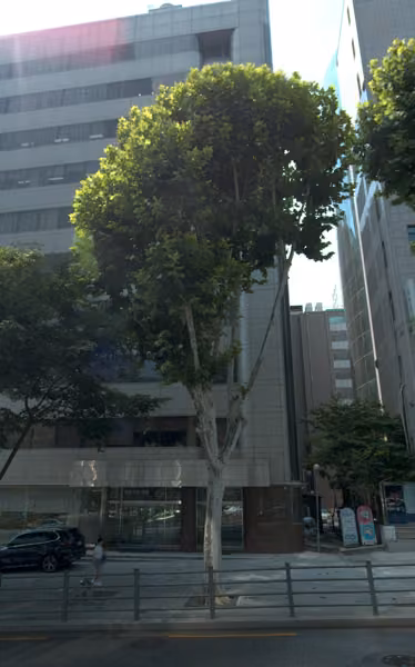 tree photo