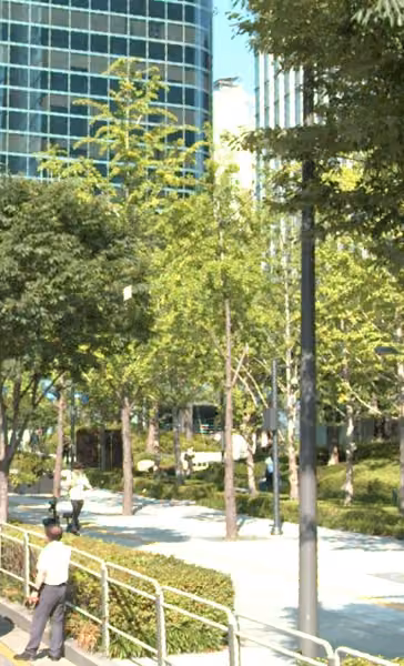 tree photo