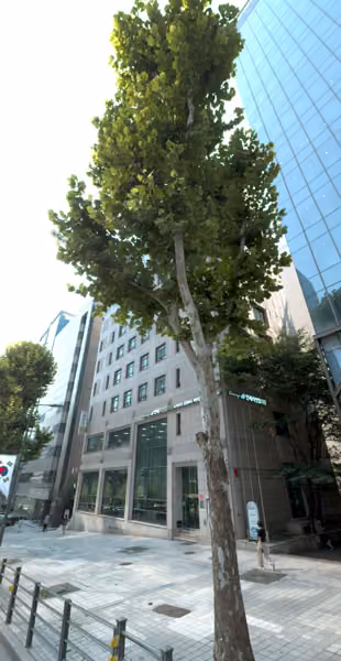 tree photo