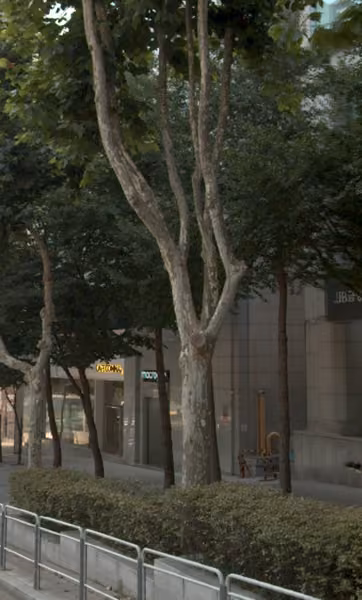 tree photo