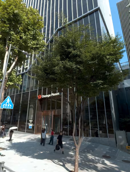 tree photo