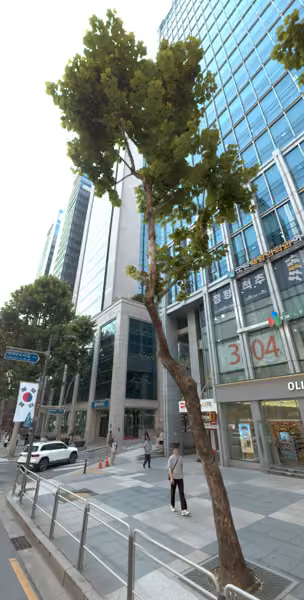 tree photo